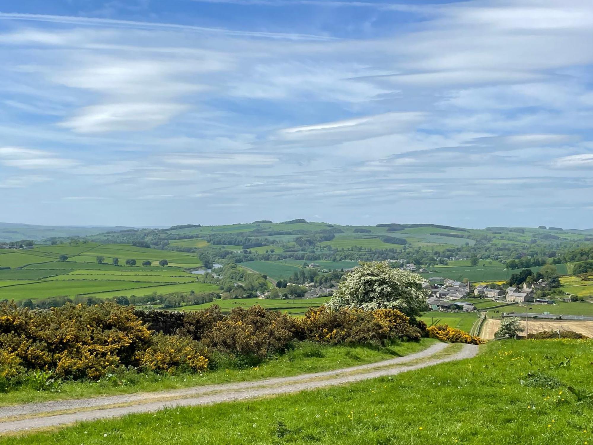 Stay On The Hill - Self Catered Cottages Laverick And Bothy Hexham Exterior photo